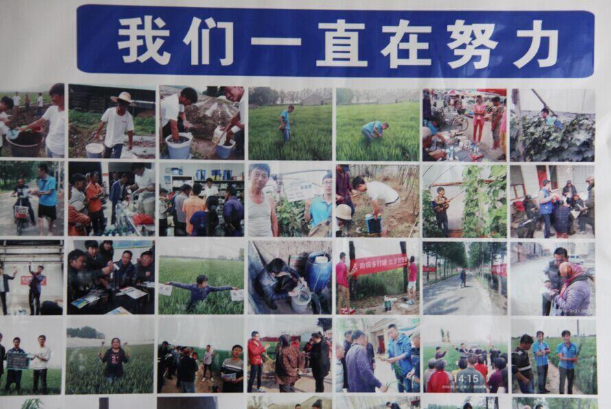 betway必威国内制剂2016年度第一次总结暨市场启动会议隆重召开